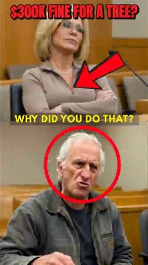 $300,000 for One Tree? Karen's Arrogance Just Cost Her a Fortune. 😡 #shorts #treelaw #viral