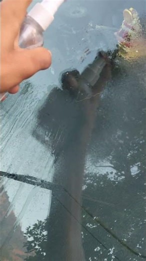 How to remove birds acidic dropping from car windshield❓