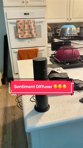 I’ve never seen the price this low for the Sentiment Diffuser 🙌