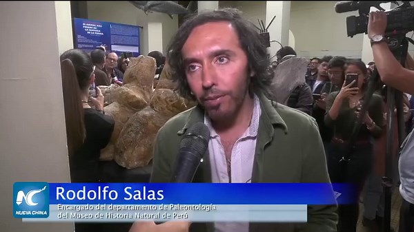 🔵 ¿Te has preguntado cuál es el animal más pesado que ha existido en la Tierra? 🌎 Perú exhibe los restos fósiles del “Perucetus colossus”, un cetáceo prehistórico que ha sido considerado por los investigadores del país andino como el más pesado que haya habitado la Tierra. | China Xinhua News