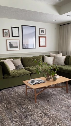 Albany Park on TikTok