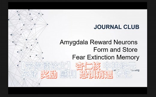 【Neuron】Amygdala Reward Neurons Form and Store Fear Extinction Memory