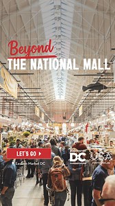 47K views | Discover the real Washington, DC - Beyond the National...