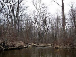 Early Spring Scenery