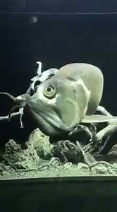 10K views · 35 reactions | Name the fish � | Angling Direct Hull | Facebook