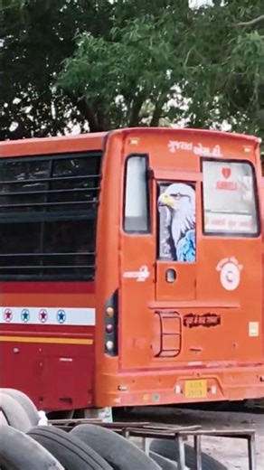 GSRTC Amreli division 🚌📍😍#buslife #travel #gsrtcyatri #gsrtcdriver #gsrtc #gsrtc_lover