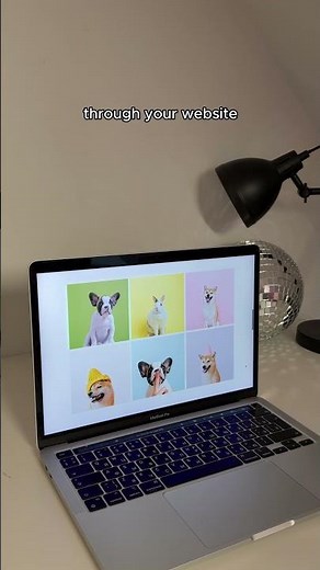 Take your photography website to the next level with movement #pixieset #photography #photographer