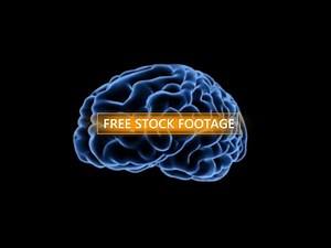 Human Brain x-ray 360 view