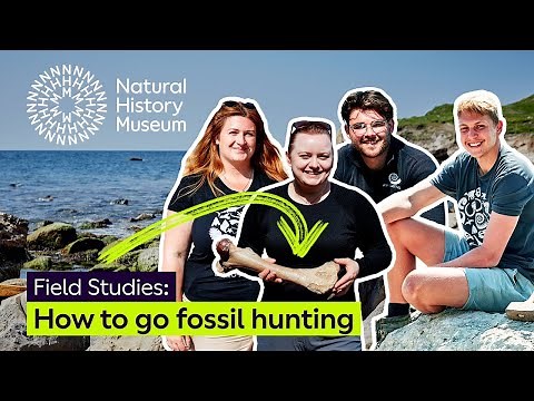 A guide on how to find fossils on the Isle of Wight | Field Studies (Audio Described)