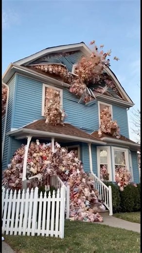 Dolls explode out of house!