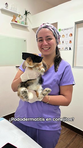 Cuentas recomendadas