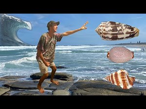 DEADLY STRIATED CONE SEASHELL FOUND AFTER A CRAZY TSUNAMI HIT QUEENSLAND SHORELINES! | Shelling AUS