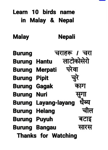 learn malay word in Nepali malay language #foryou #fyp #malaylanguage765 #bhasamalau #unfrezzmyaccount