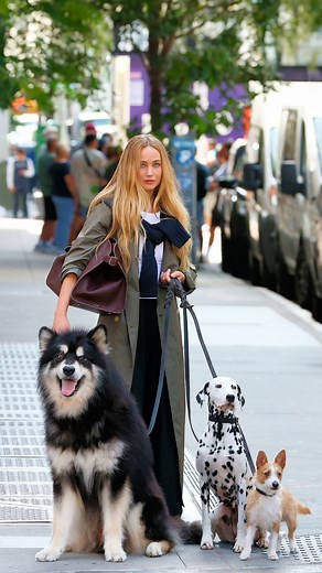 WHOOPSEE on Instagram: "Quanti di voi, guardando questo video, vorrebbero essere al posto di Jennifer Lawrence per poter passeggiare per le strade di New York in compagnia di tre splendidi amici a quattro zampe? Per chi se lo stesso chiedendo no, l’attrice non si sta reinventando come dogsitter, ma si trova sul set di uno spot per Christian Dior, brand del quale nel corso degli anni è stata ambassador per molteplici campagne. Per l’occasione, Jennifer Lawrence ha indossato un look casual stratif