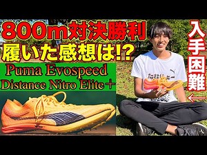 【超貴重】800mで勝利したPUMA最新スパイクの感想を語る！オリンピック、世界陸上で履かれていたシューズが日本にも登場【PUMAスパイク】【evospeeddistancenitroelite】
