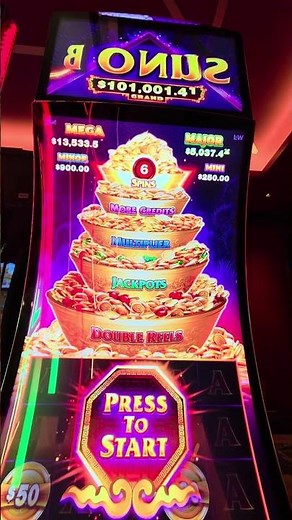 $60 BET GARBAGE WIN WU JIN PEN HOLD N SPIN BONUS - BELLAGIO LAS VEGAS - $1 Denom