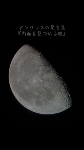 月とアンタレスをみよう！2026.3.11 #天体観察 #天体望遠鏡 #月 #宇宙 #初心者