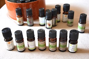 Soigner ses plantes avec les huiles essentielles
