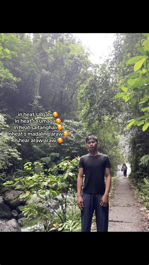 Understanding Heat Cycles in Dogs: A Comprehensive Guide