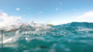 Swimming with dolphins at great depth on one of the coasts of East Africa at noon. Video with original sound. Sounds of dolphins. Video from the first person.
