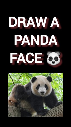 Draw a Panda face 🐼#coding #memes #shorts #funny@LearnComputerWithRCS