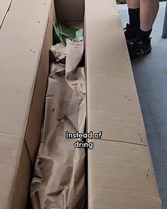 6K reactions · 639 shares | Still driving from store to store looking for the perfect plants? Shop over 6000 varietals and find the perfect plants for your home or back yard. Every plant is backed by our Alive & Thrive Guarnatee. | Fast Growing Trees | Facebook