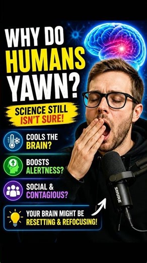Why Do Humans Yawn? The Science Is Still Not Sure!