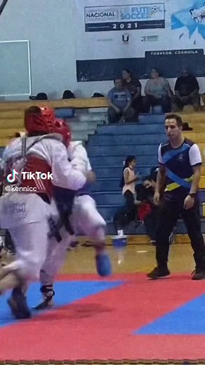 Patadas de Taekwondo: Técnicas y Combates Impactantes