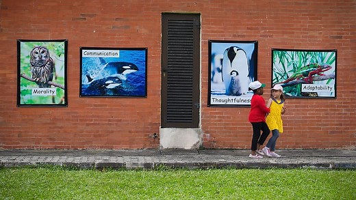 Communities | Shell Nigeria