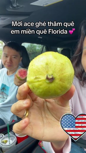 #vlog#florida #cuocsongmy #langthangđườngphố