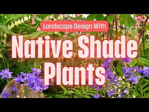 Landscape Design For Full Shade Using Native Plants 🌳