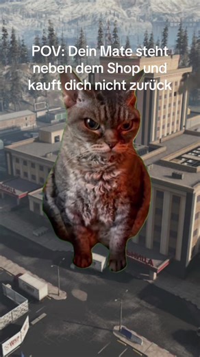 Funny COD Memes About Rescuing Teammates