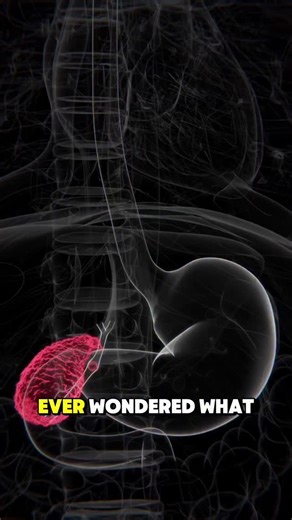 Drx Nishant Pal | ☠️During Gallbladder Surgery☠️ #GallbladderSurgery #GallbladderRemoval #GallbladderProcedure #LaparoscopicCholecystectomy #Cholecystectomy | Instagram