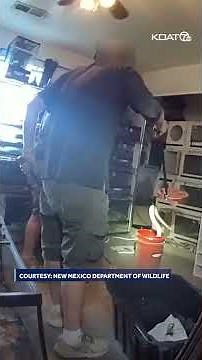 RAW VIDEO: Feds & Wildlife officials seize venomous snakes in New Mexico #snakes #police #bodycam