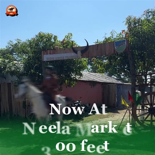 Step into the world of refined horseback riding! Embrace the rush, the rhythm, and the royal experience of riding with elegance and control. 🔹 Skilled & Friendly Trainers 🔹 Premium Riding Gear 🔹 Safe Training Environment 🔹 Cinematic Photo & Video Coverage 🔹 Courses Suitable for All Levels 🔹 Certificate After Course Completion 📍 Purbachal – 300 Feet Highway 📞 01601-333128 Ride | Refresh | Reinvent Yourselfa | Horse Riding Training Academy