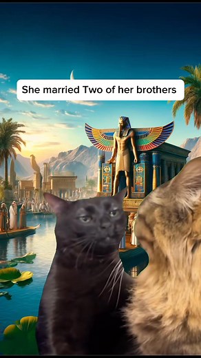 Facts about Cleopatra you probably know #fyp #History #historylovers #ancienthistory #worldhistory #cleopatra #fblifestyle | Simply Stated History