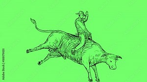 2d Animation motion graphics showing a rodeo cowboy bull rider riding bucking bull on white screen, green screen with alpha matte in HD high-definition.