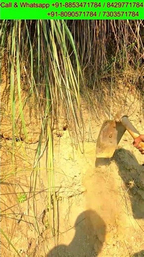 Equinox 600 Settings for Deep Treasure Hunting #metaldetecting #treasurehunting #youtubeshort #yt