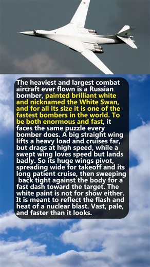 The Largest Combat Aircraft Ever Is a Swan