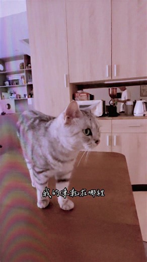 yu-chun wang on TikTok