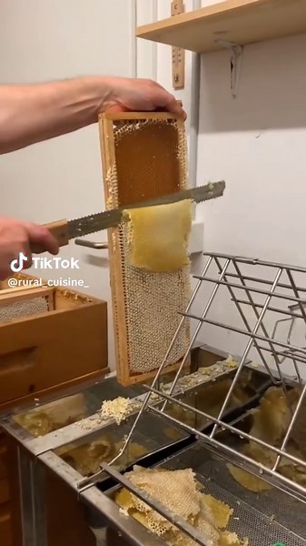 Rural Cuisine ⛎ (@rural_cuisine_)’s videos with original sound - Rural Cuisine ⛎