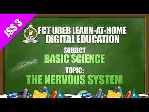 BASIC SCIENCE (JSS 3) - THE NERVOUS SYSTEM