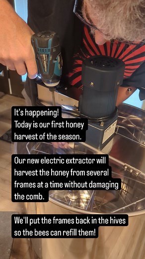 🐝🐝🐝🐝🐝🐝 Earlier this spring as our bee population was growing, we decided we did not want to do any more splits for more hives. We have six hives, three in one location and three in another, and that is a good amount for us to maintain right now. So we used a technique called the Demaree split. This isolates the queen in the bottom box so she can lay eggs and do what queens do, but it allows the nurse and worker bees to move into the upper boxes to build out comb and make more honey. Our go