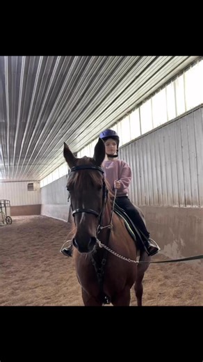 Hard working kids at Midland Farm! Love their energy and passion for horses! ❤️ | Midland Farm