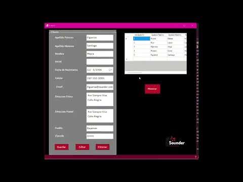 Programa en Visual Basic con Base de Datos MSSQL