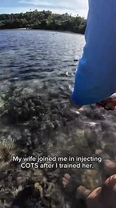 My wife took part in our COTS control activity after I trained her on the proper injection method using the Prodigy instrument. Injection guide: • Small COTS – 20 ml vinegar • Large COTS – 30 ml vinegar The Prodigy instrument has a 20 ml capacity, so for larger COTS the dose is split into multiple injections at different points to reach the full 30 ml, rather than a single drench. This method is safe, effective, and helps reduce COTS impact on our coral reefs. Reef protection is a shared respons