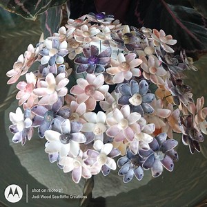 5-coquina Shell Flowers / 8 Petal Single Stem Flower With Snail Center - Etsy