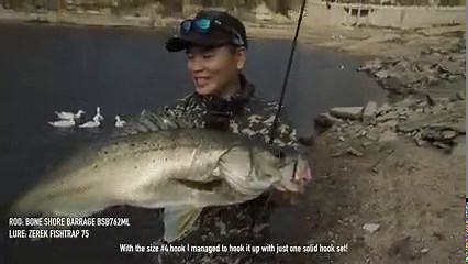 7.3K views · 1.5K reactions | Even with a medium fast rating, the BONE Shore Barrage BSB762ML (PE 0.8-1.5, casting 6-21g) has sufficient power to land a huge double digit Seabass, keeping the line tight and hook on. A solid catch! #BONEFishingWorld #BONEShoreBarrage #ShoreCasting #Seabass | BONE Fishing World | Facebook