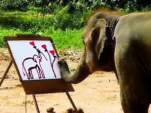 37K views · 1.6K reactions | Using her trunk, the talented elephant creates a stunning self-portrait  | Newsner.com | Facebook