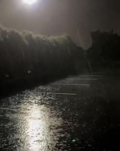 素敵な素材を配布します！雨の雰囲気を楽しもう